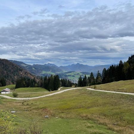 Ferienhaus Kaiserblick - Fewo2 Walchsee Eksteriør billede
