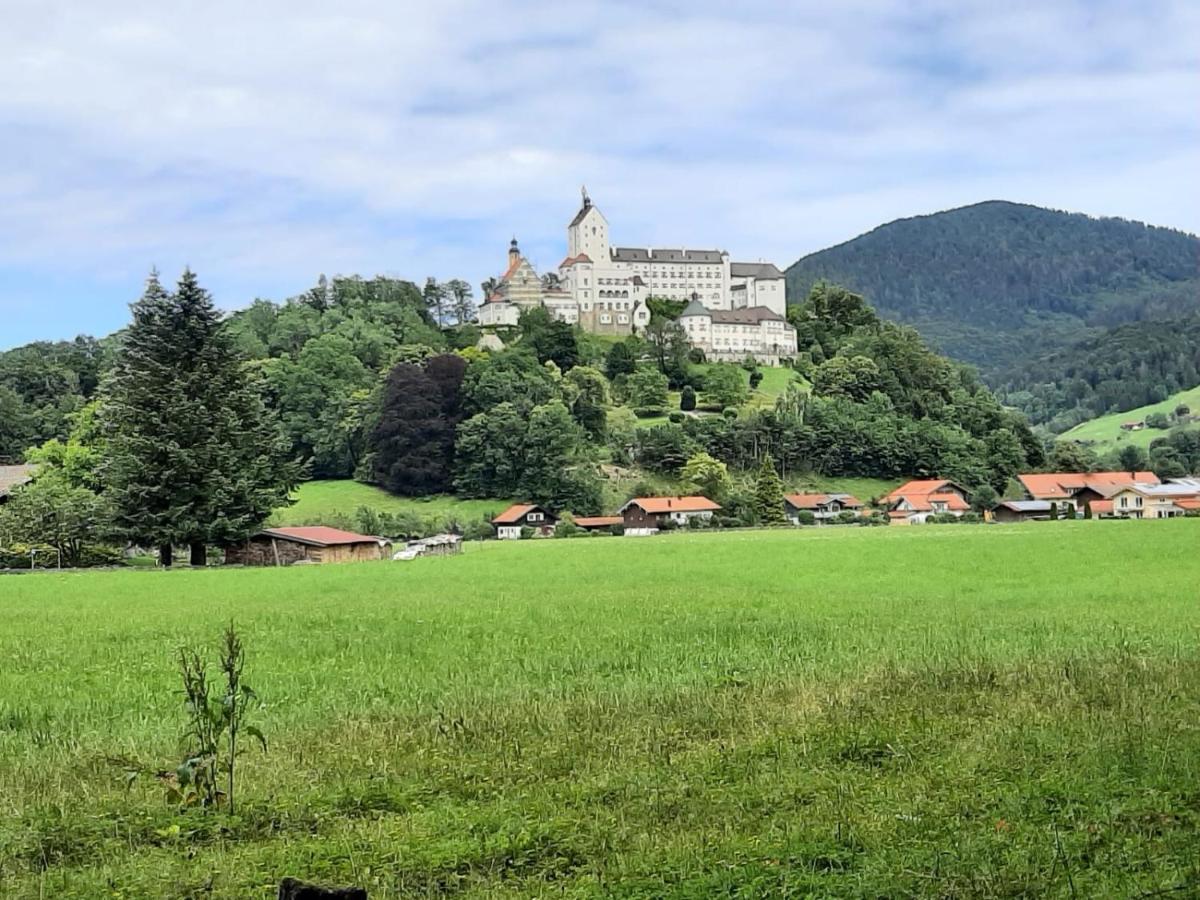 Ferienhaus Kaiserblick - Fewo2 Walchsee Eksteriør billede