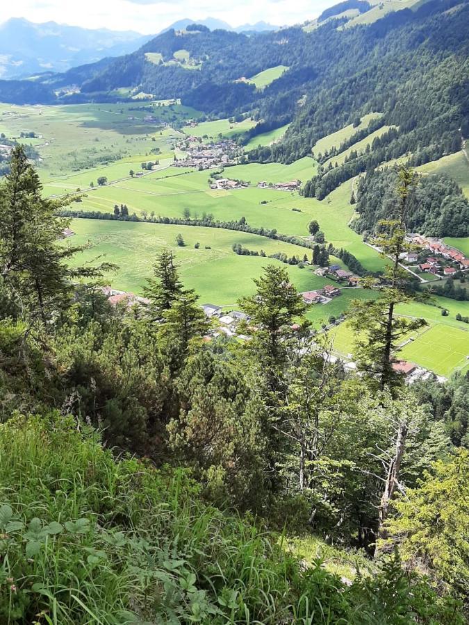 Ferienhaus Kaiserblick - Fewo2 Walchsee Eksteriør billede